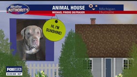 Welcome Sunshine, Lilly, Nico