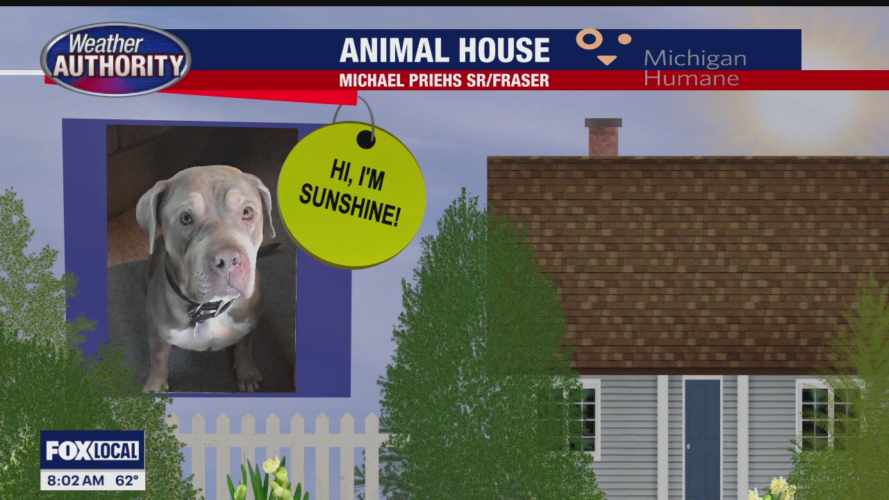 Welcome Sunshine, Lilly, Nico