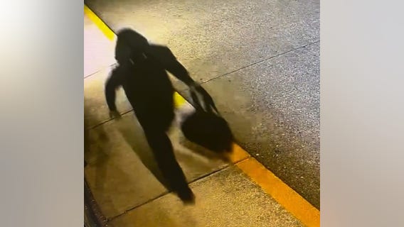 Comics and More broken into, graded comic books stolen