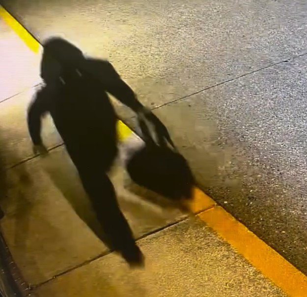 Comics and More broken into, graded comic books stolen