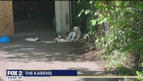 The Karens help Detroit dogs in need