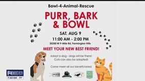 Bowl-4-Animal-Rescue