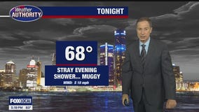 Partly cloudy with chance of shower Friday