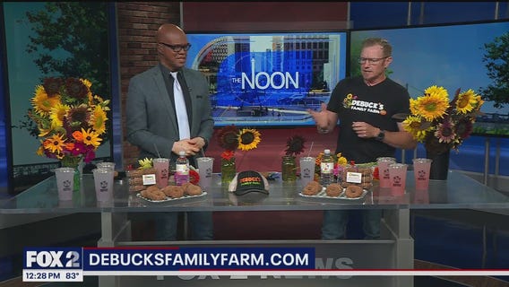 DeBuck's Sunflower Festival!