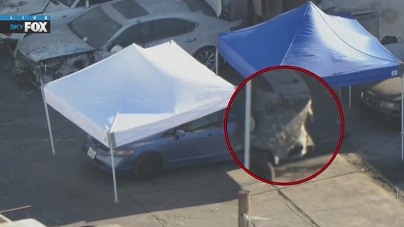 Body stuffed in car in South LA tow yard