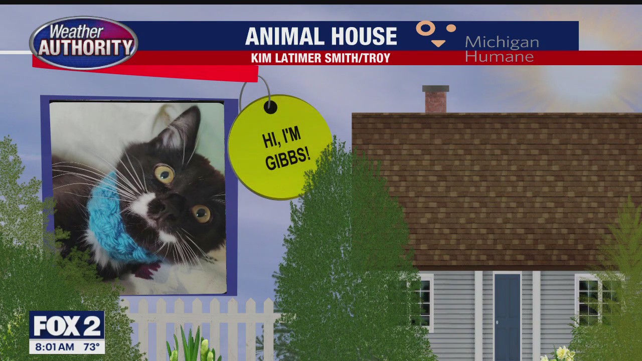 Welcome Gibbs, Cooper, Chloe, Bell Pepper