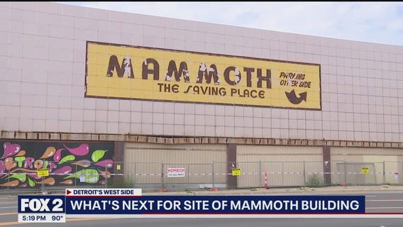 Detroit's Mammoth Building coming down after quarter of a century of vacancy