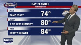 Drier day ahead