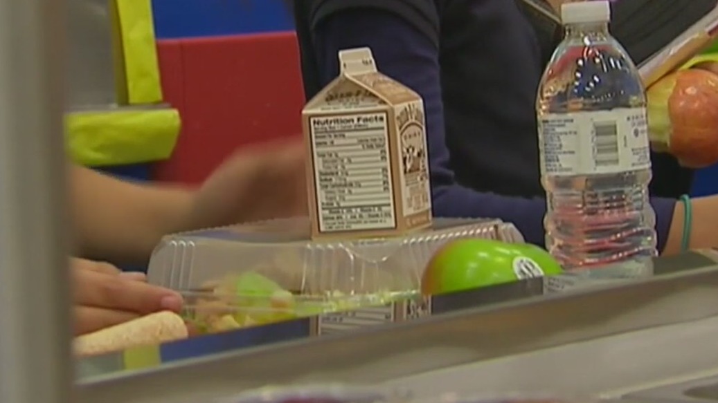 Michigan free school lunch program in limbo