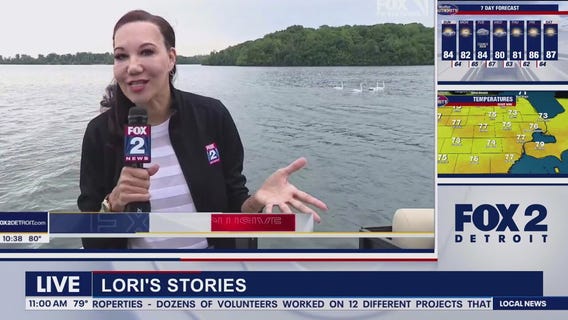 Lori's Stories: Career Pivot part 1