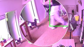 Alleged West Hollywood dog killer arrested