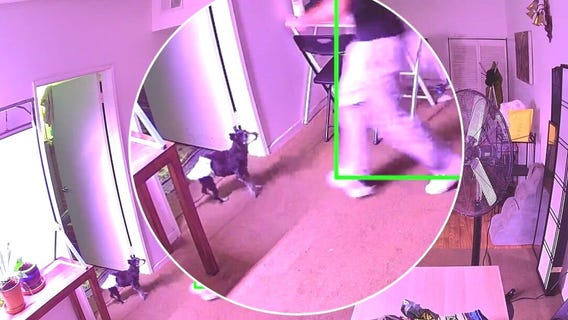 Alleged West Hollywood dog killer arrested