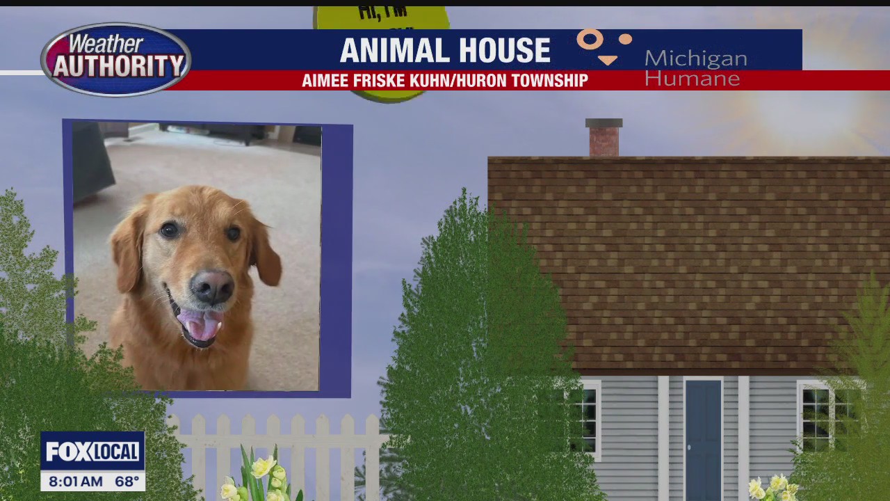 Welcome Daisy, Zeke, Skye