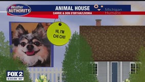 Welcome ChiChi, Jerry, Ozzy