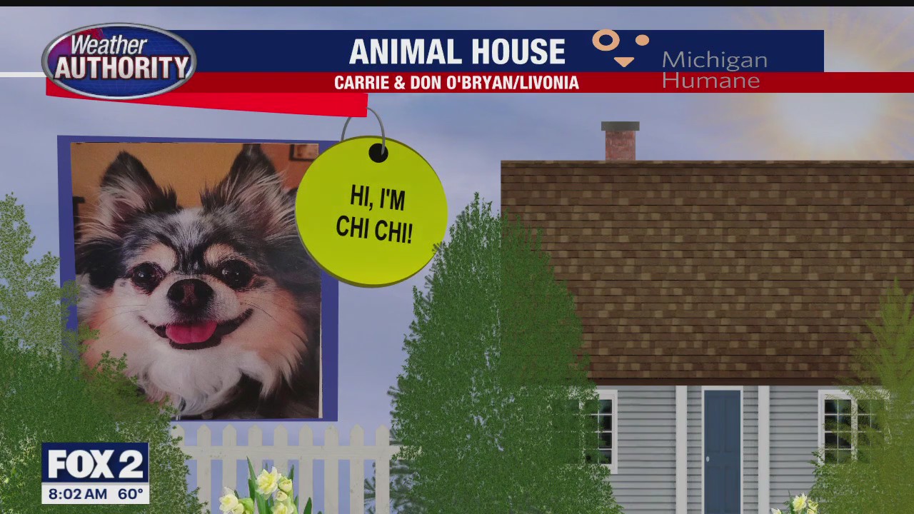 Welcome ChiChi, Jerry, Ozzy