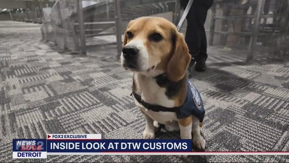 Inside look at DTW customs
