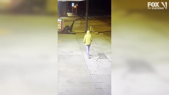 Dinosaur statue stolen from LA gas station