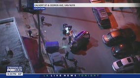 Van Nuys police chase ends in crash