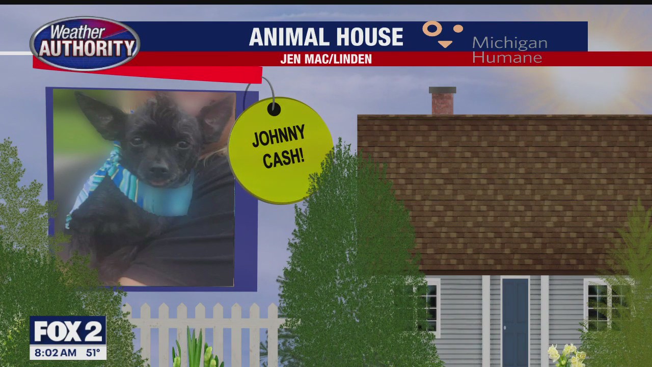 Welcome Johnny Cash, Dewey, Charlie