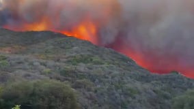 'Bittersweet' reaction to Palisades Fire suspect caught