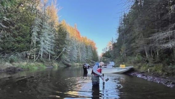 Anglers worry about Burbot's fishing booming in Michigan