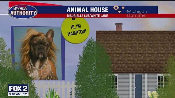 Welcome Hampton, Jenny Irene, Ricky Bobby