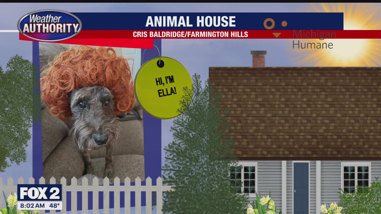 Welcome Ella, Bruce, Peanut