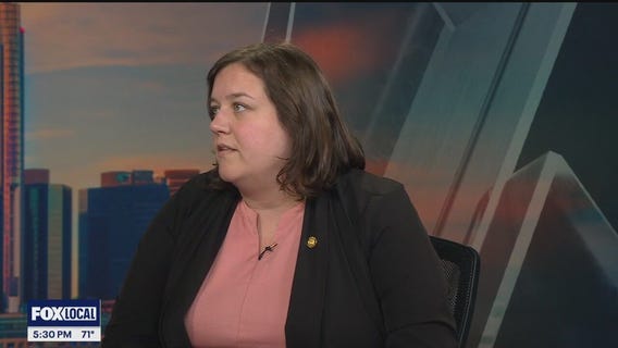 Members of both parties give their take on Michigan's budget battle