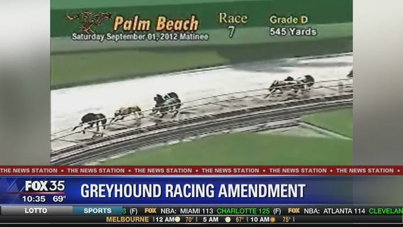 Florida voters to decide on dog racing ban