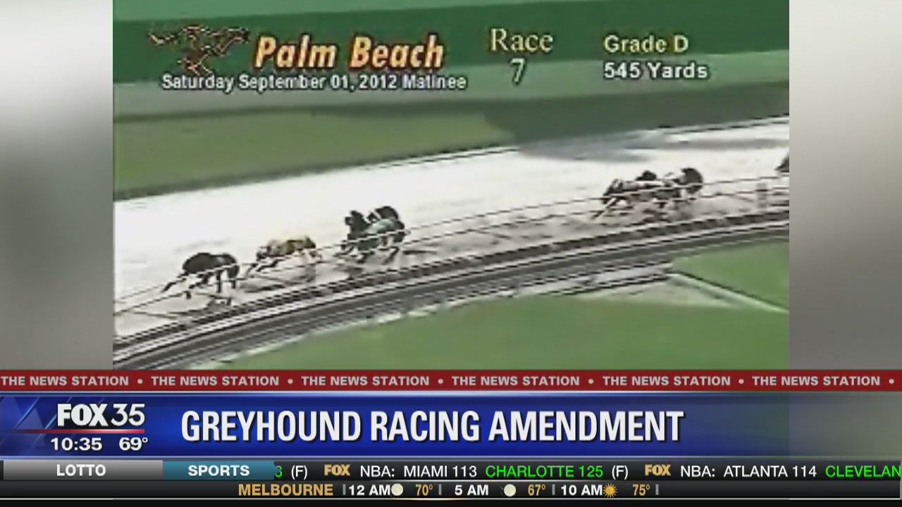 Florida voters to decide on dog racing ban