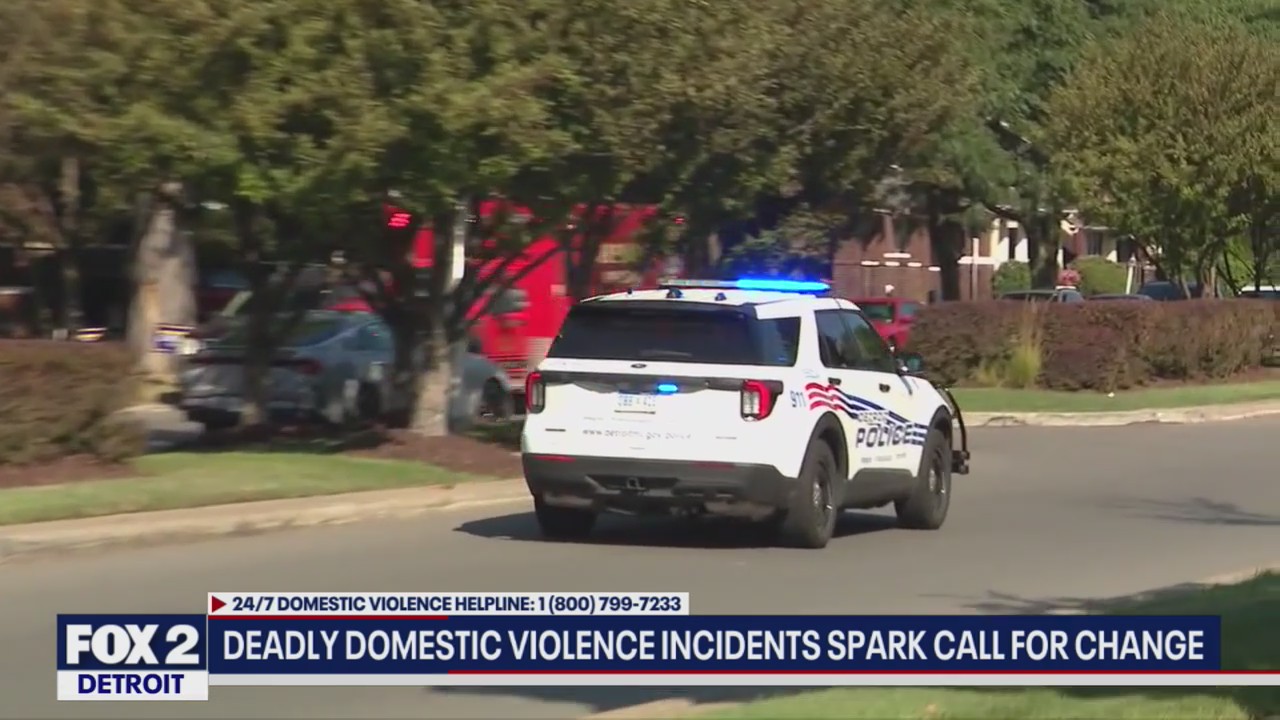 Deadly domestic violence incidents spark call for change