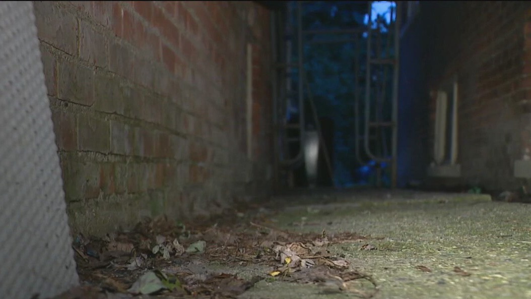 Detroit woman hopes to save historic home