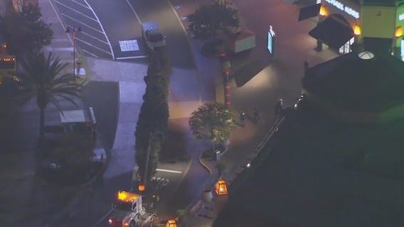 Giant Christmas tree arrives at Citadel Outlets