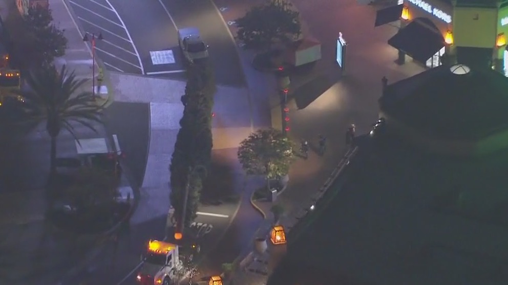 Giant Christmas tree arrives at Citadel Outlets