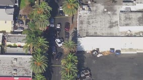 Person shot during federal investigation in LA