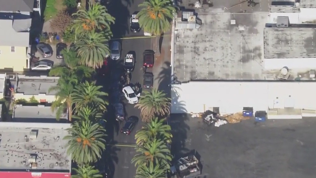Person shot during federal investigation in LA