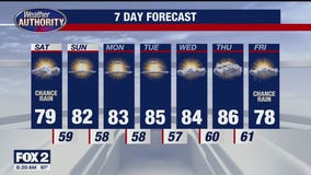 Stray Shower Possible Today