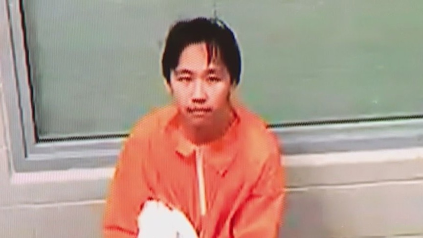 Suspect arraigned in deadly domestic violence case