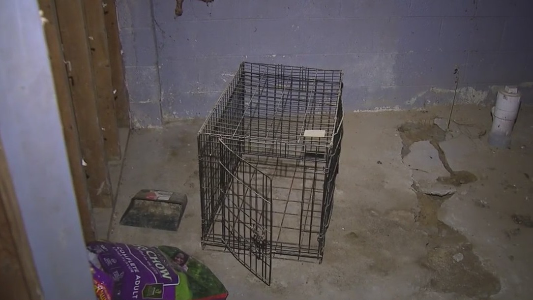 Abandoned dog found locked in cage inside home