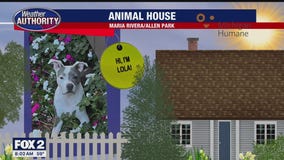 Welcome Sissy, Lola, Wally