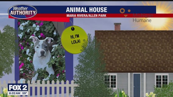 Welcome Sissy, Lola, Wally