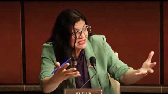 Tlaib's fascist jab on Trump administration sparks shouting match