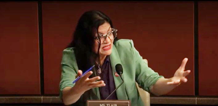 Tlaib's fascist jab on Trump administration sparks shouting match