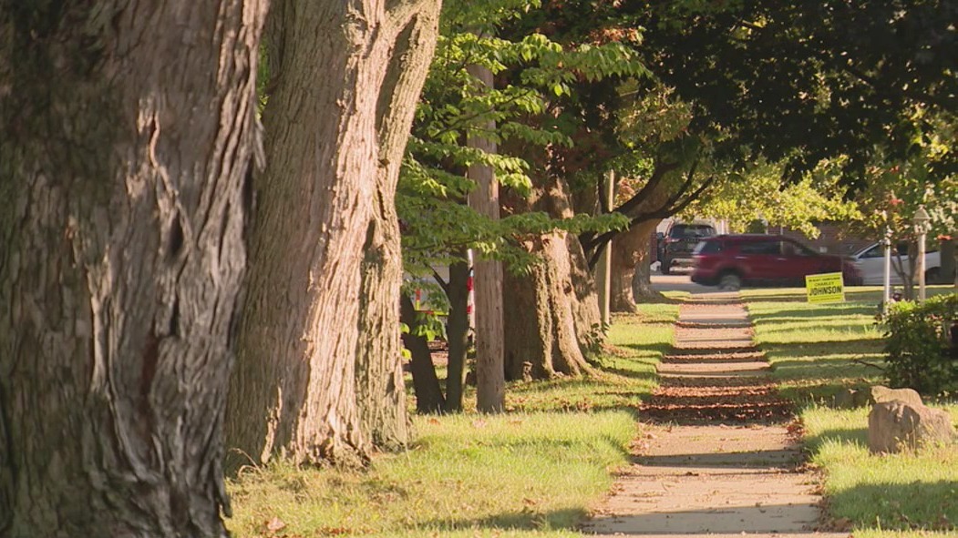 Taylor man allegedly stabs girlfriend in knife attack