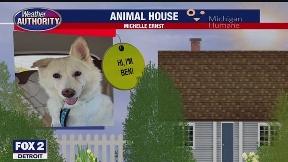 Welcome Jax, Ben, Scooter