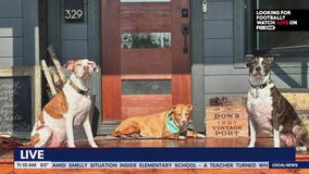 Lori's Stories Miss Peaches Update part 2