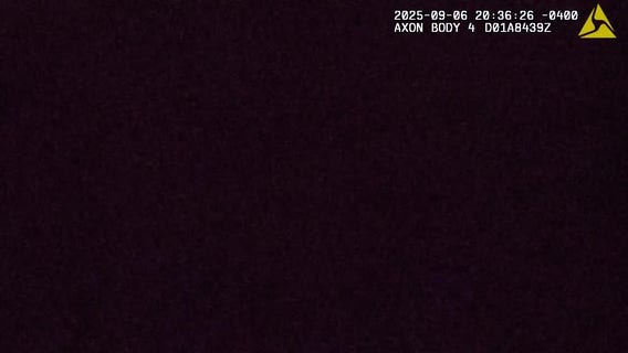 LANGUAGE WARNING: Body cam video of Dearborn traffic stop