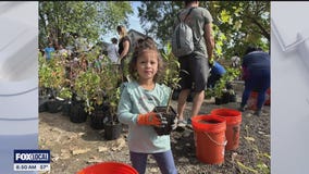 Corktown welcomes Sugi Pocket Forest to the neighborhood