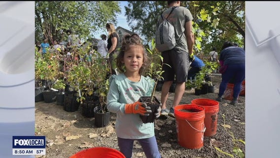 Corktown welcomes Sugi Pocket Forest to the neighborhood