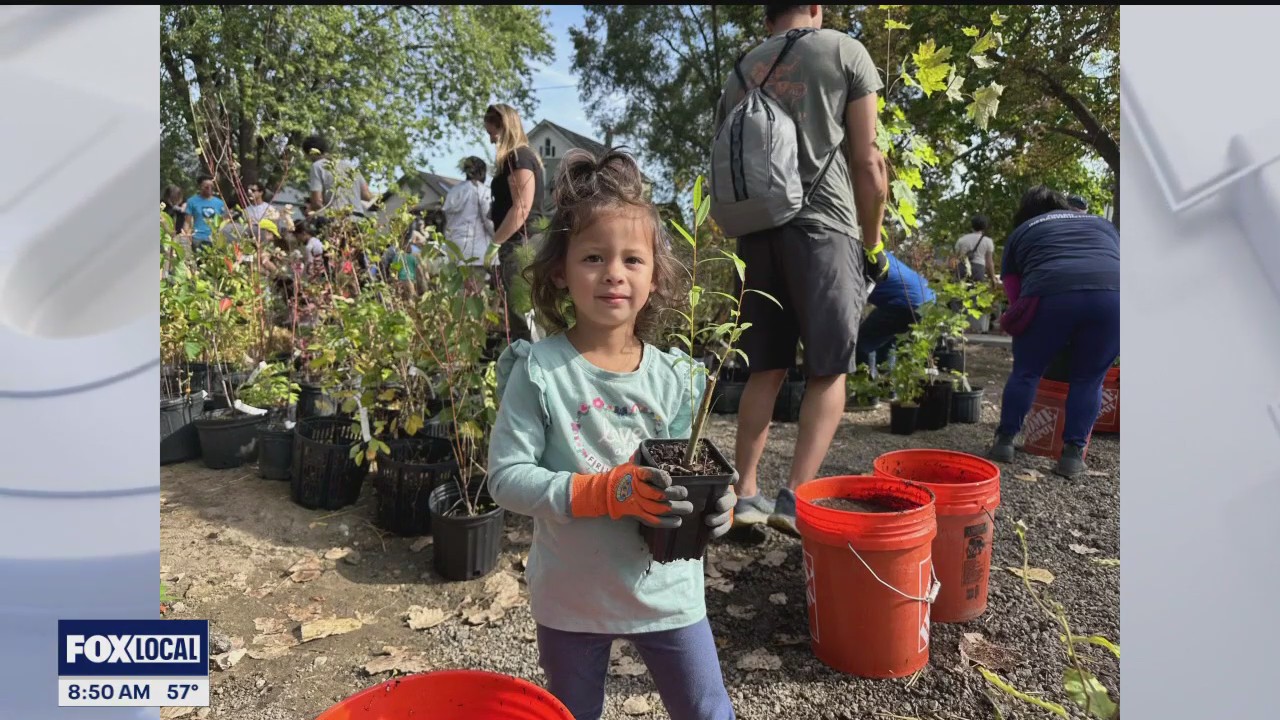 Corktown welcomes Sugi Pocket Forest to the neighborhood